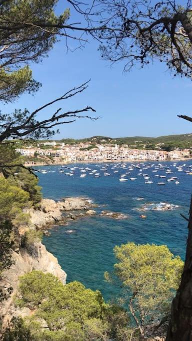 The Golden Oak In Calella Centre - 100M From Beach Palafrugell Buitenkant foto
